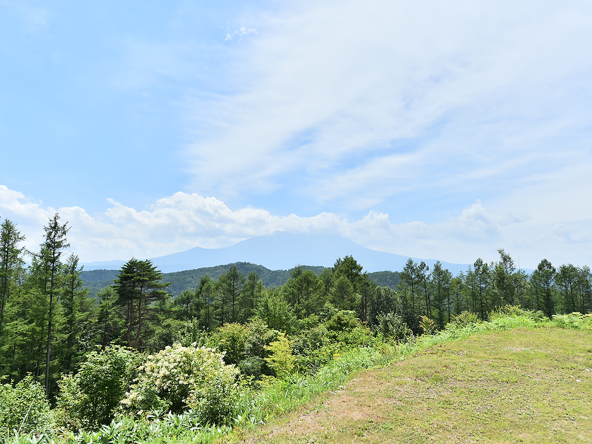 高原から望む夏の山並みと青空